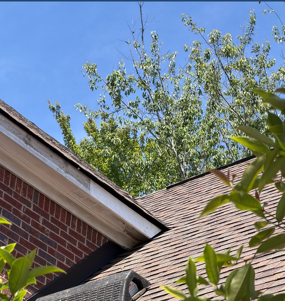 Fascia and soffit wood repair during a gutter installation in Alpharetta